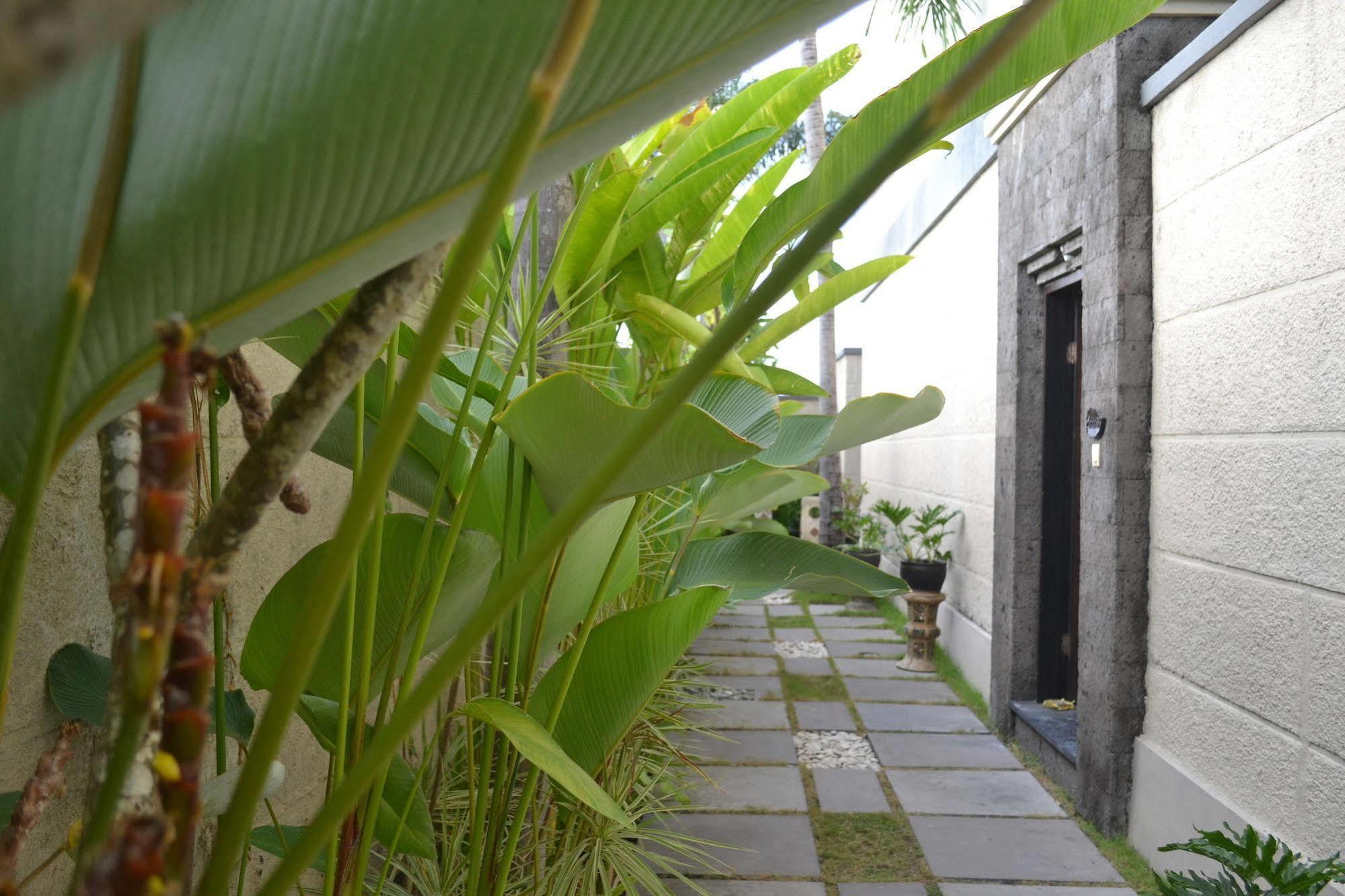 D'Alang Alang Villas Seminyak Eksteriør billede